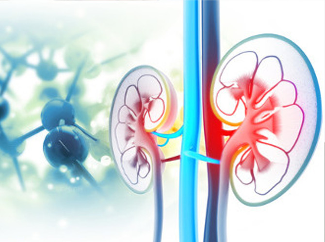 Ambulatorio di Urologia - Andrologia