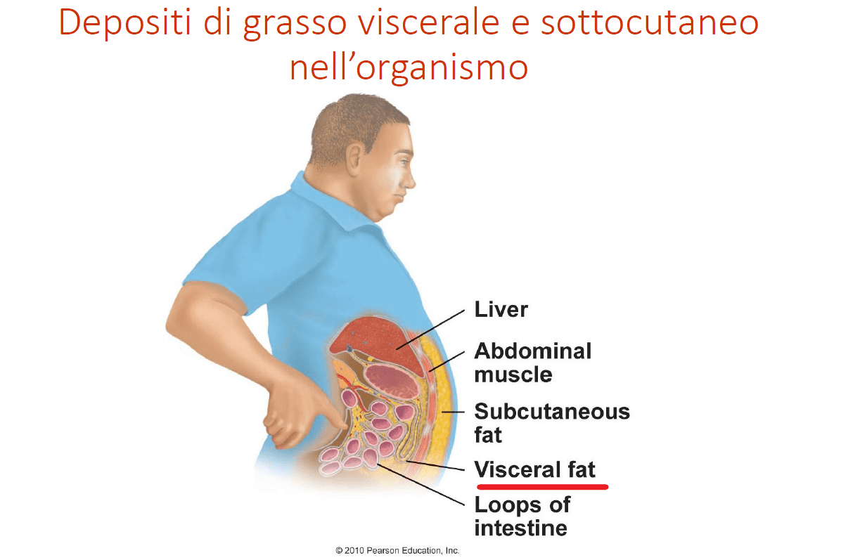 M.O.C Dexa